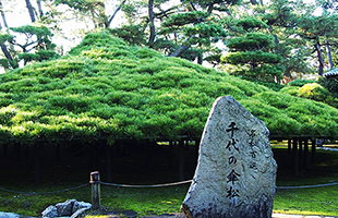 庭園の見どころのイメージ