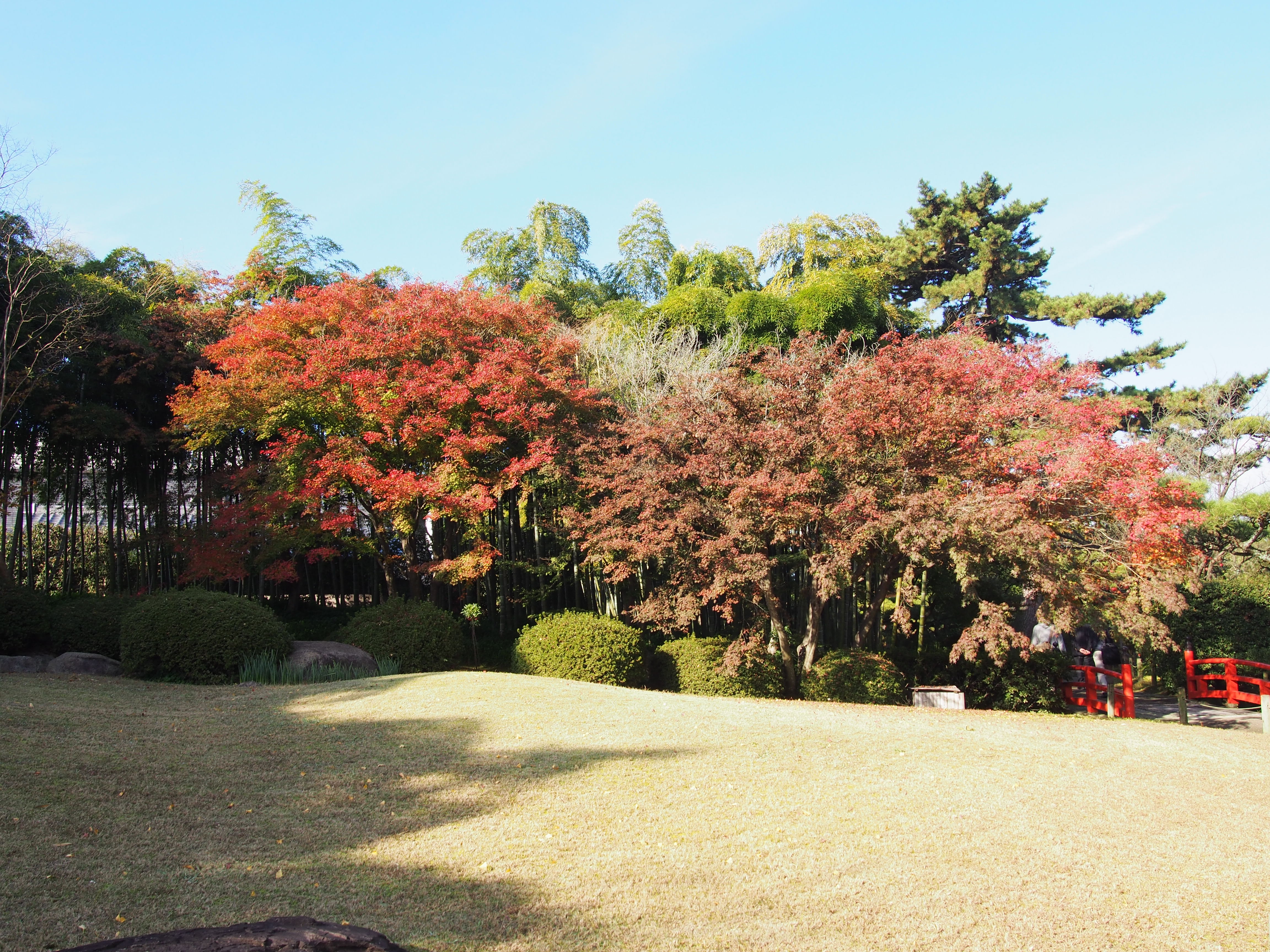 中津万象園　晩秋